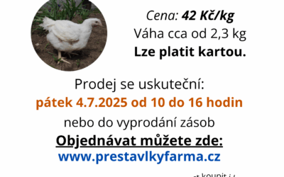 Přijímáme objednávky na živý prodej kuřat.