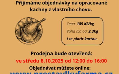Přijímáme objednávky na farmářské kachny.