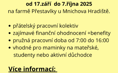 Nabízíme brigádu na měsíc zaří/říjen 2025.